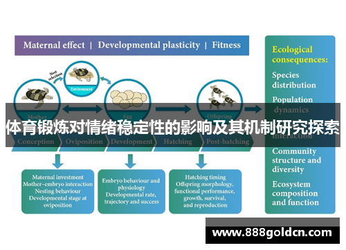 体育锻炼对情绪稳定性的影响及其机制研究探索