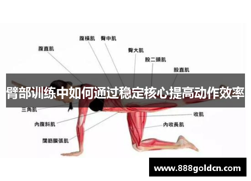 臂部训练中如何通过稳定核心提高动作效率